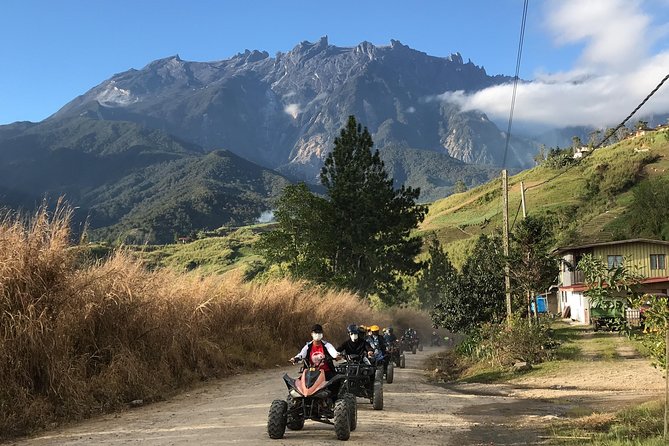 Kota Kinabalu ATV Riding and Dairy Farm at Mountain Kinabalu - What the dairy farm adds to the day