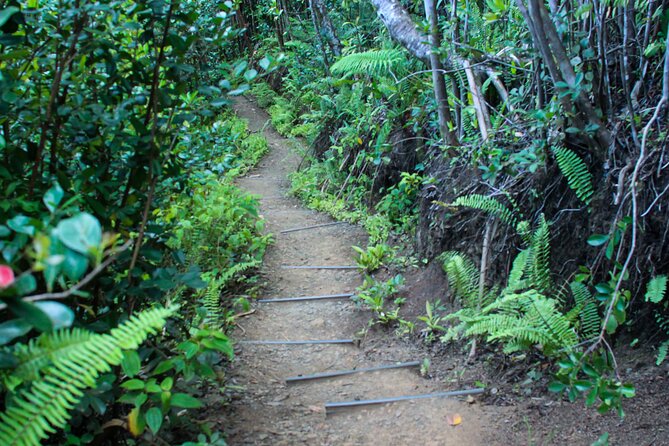 Kualoa Ranch: Jungle Expedition Tour - How much value do you get for $67.24?