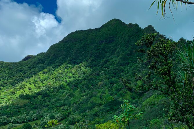 Kualoa Ranch: Jungle Expedition Tour - Who will enjoy this ride most?
