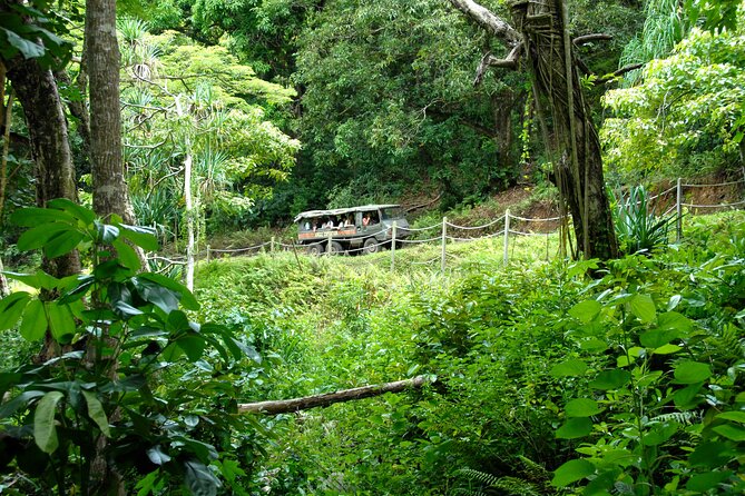 Kualoa Ranch: Jungle Expedition Tour - The remote lookout and eastern Oahu views