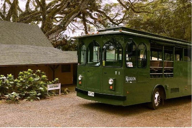 Kualoa Ranch - Kualoa Grown Tour - A gentler way to see Kualoa Ranch