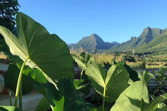 Kualoa Ranch - Kualoa Grown Tour - Moli’i fishpond and the Hawaiian story