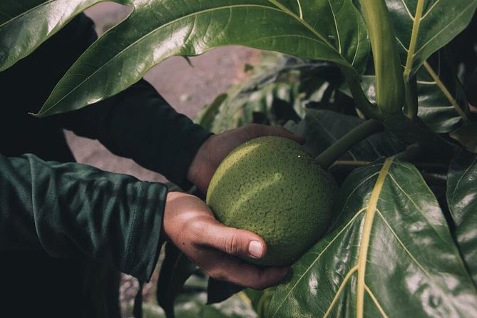 Kualoa Ranch - Kualoa Grown Tour - How long the experience really takes