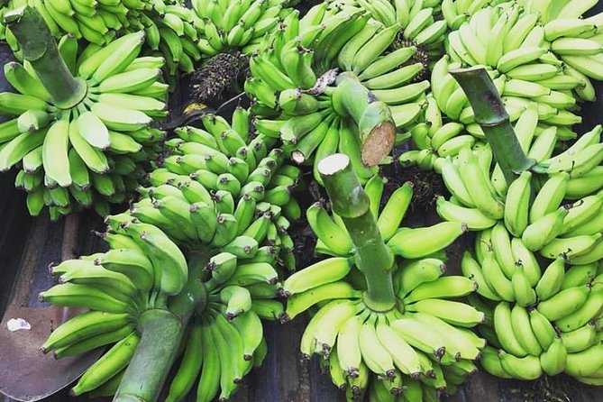 Kualoa Ranch - Kualoa Grown Tour - Group size, comfort, and the weather