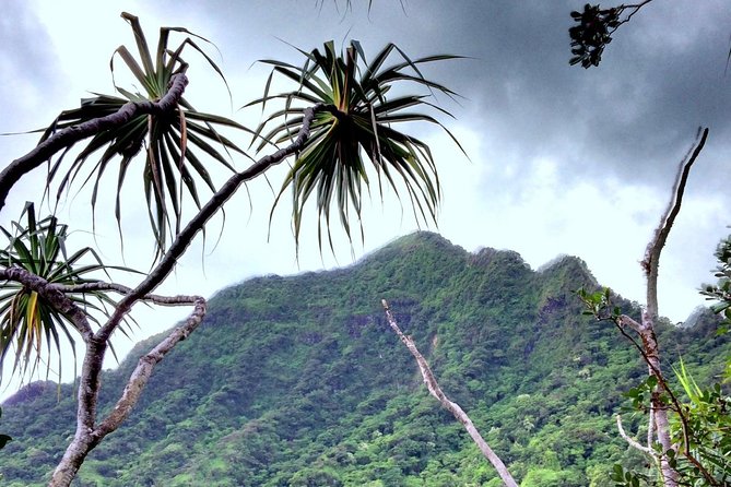 Kualoa Ranch: Novice E-Bike - Movie locations with a dose of ranch history