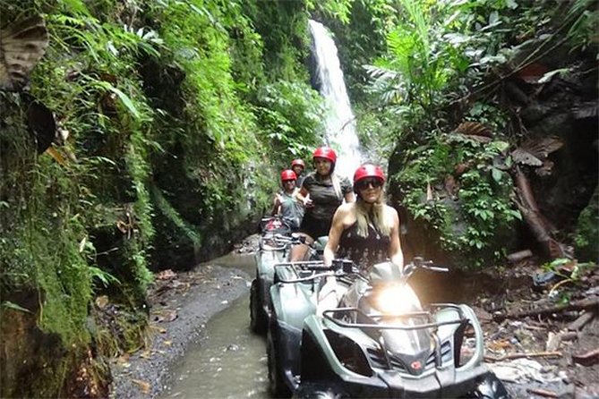 KUBER ATV UBUD - Tunnel Waterfall Rice field Jungle w Private Car - Rice fields, forest, and waterfall stops
