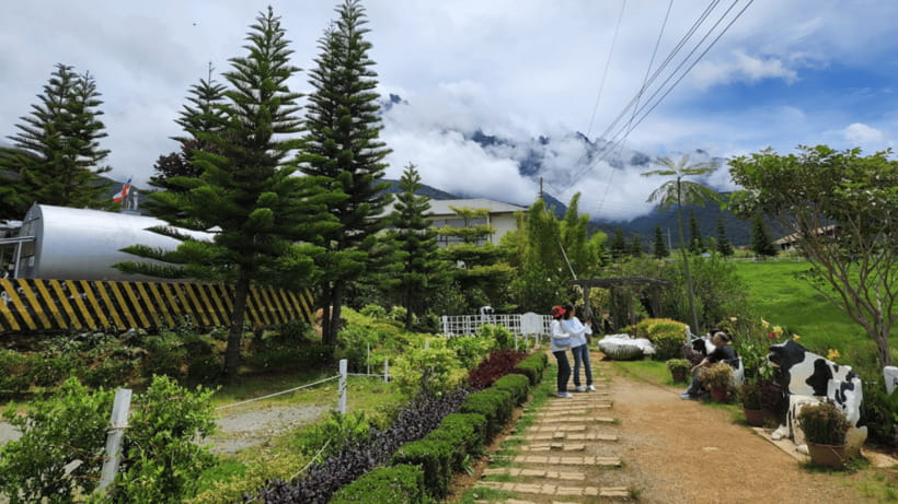 Kundasang: Day Tour with Desa Dairy Farm and Alpaca Club - Weather, crowds, and the real pace of the day