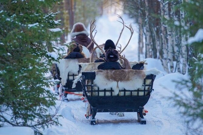 Kuoksa Reindeer Farm Visit with a Short Sleigh Ride - The sleigh ride depends on the weather