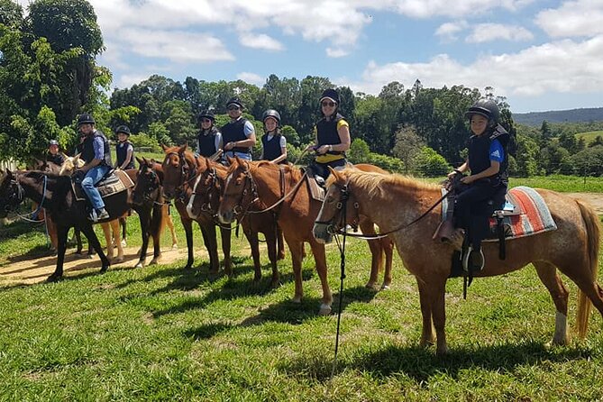 Kuranda 60 minute Horse Trail Ride and Petting Farm - Meeting your horse at 10:00 am