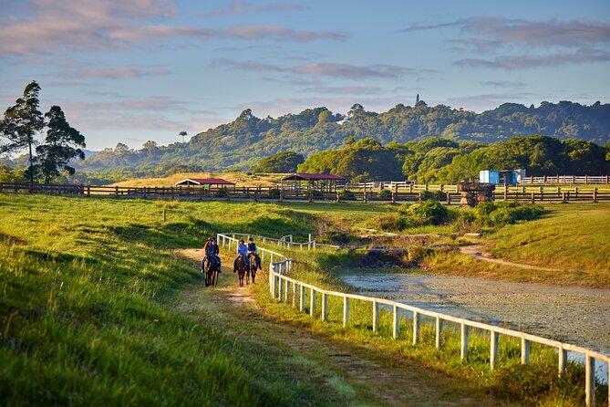 Kuranda 60 minute Horse Trail Ride and Petting Farm - Why the small group makes a difference
