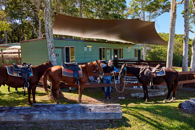 Kuranda 60 minute Horse Trail Ride and Petting Farm - What the $128.39 price buys you