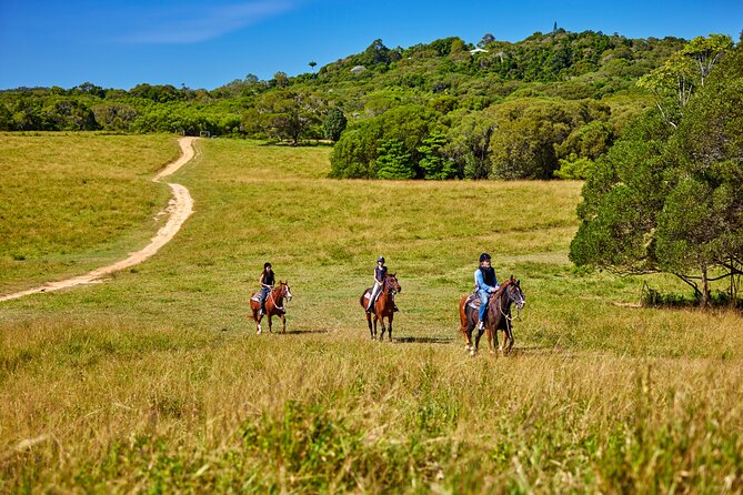 Kuranda 60 minute Horse Trail Ride and Petting Farm - Timing, weather, and what to plan