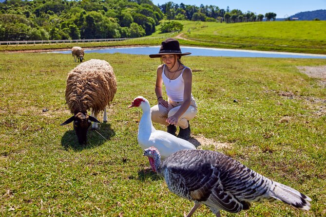 Kuranda 60 minute Quad Bike Experience and Petting Farm - The petting farm gives the day a slower second half