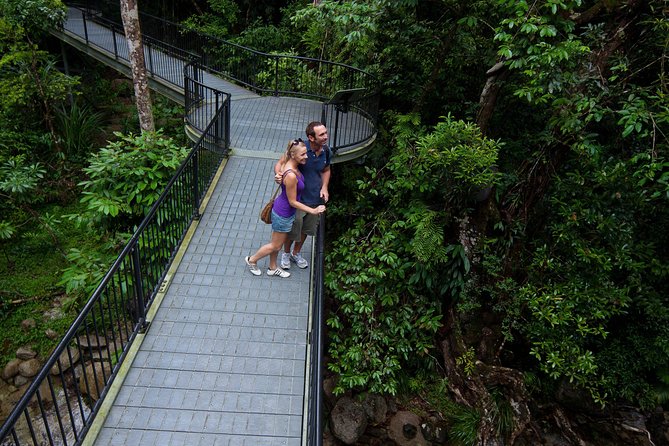 Kuranda 60 minute Quad Bike Experience and Petting Farm - Horses add another reason to stay after the ride