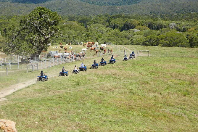 Kuranda 60 minute Quad Bike Experience and Petting Farm - How the three-hour format affects the value