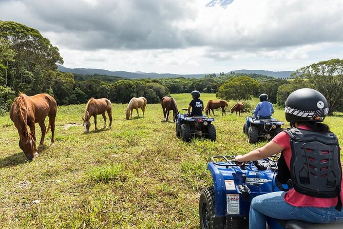 Kuranda 60 minute Quad Bike Experience and Petting Farm - Weather, cancellations, and simple planning advice