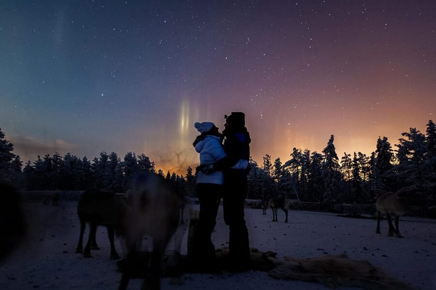 Kuusamo: Reindeer Farm Visit - Meeting the reindeer in Kuusamo