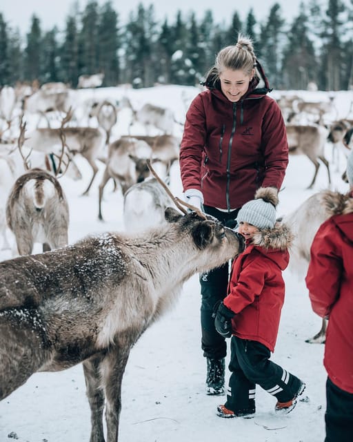 Kuusamo: Reindeer Farm Visit - A short stop at the handicrafts workshop