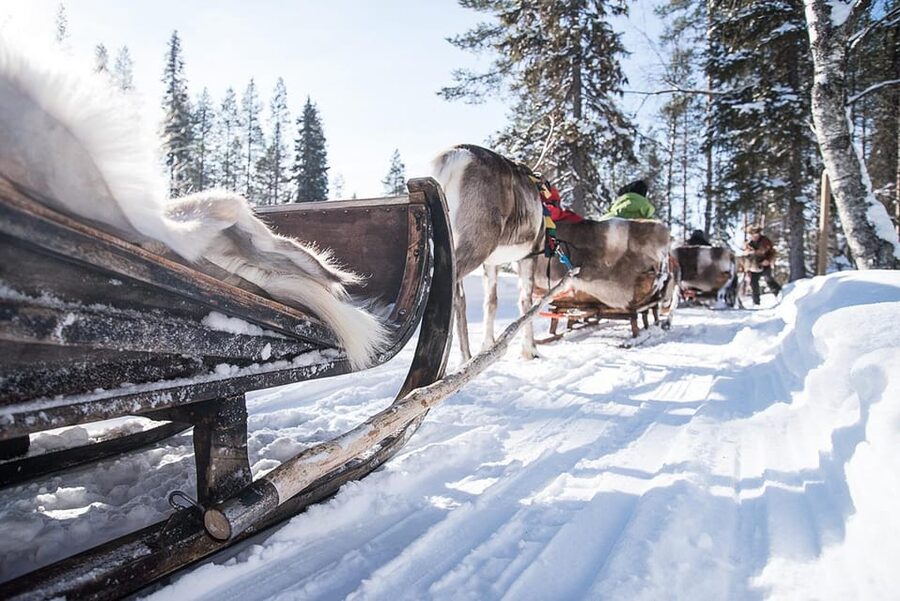 Kuusamo: Reindeer Sleigh Ride and Farm Visit - Key points at a glance