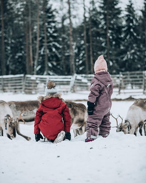 Kuusamo: Reindeer Sleigh Ride and Farm Visit - Stepping into the ancient corral
