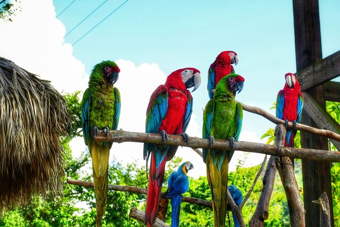 La Hacienda Park Tour - Key things to know before booking