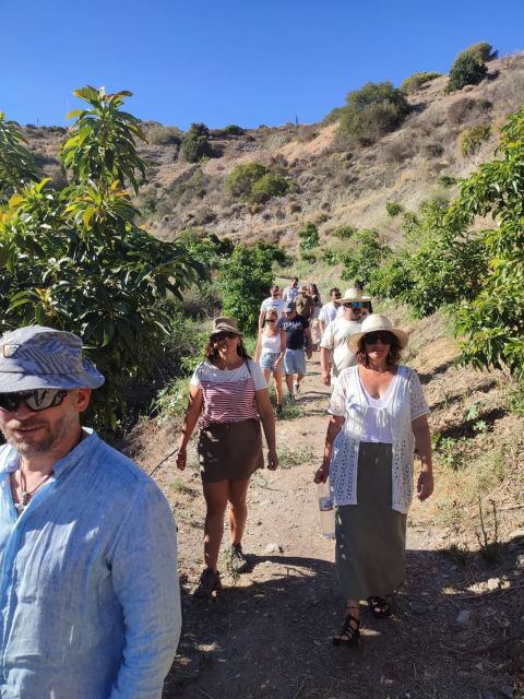 La Herradura Coffee Farm: tour in Europe's only plantation - The walk through coffee, mango, and dragon fruit