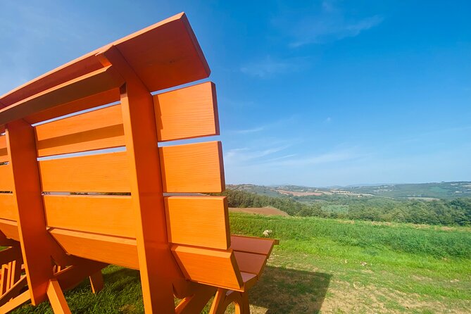 La Maliosa Farm Experience & Wine Tasting - Walking Through the Vineyard and Up to the Viewpoint