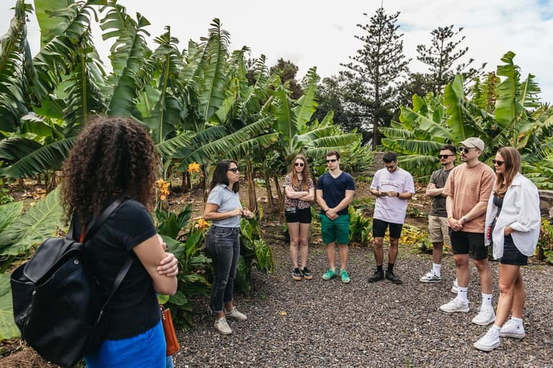 La Orotava: Eco Banana Plantation Tour with Banana Liquor - What the $23 price really buys