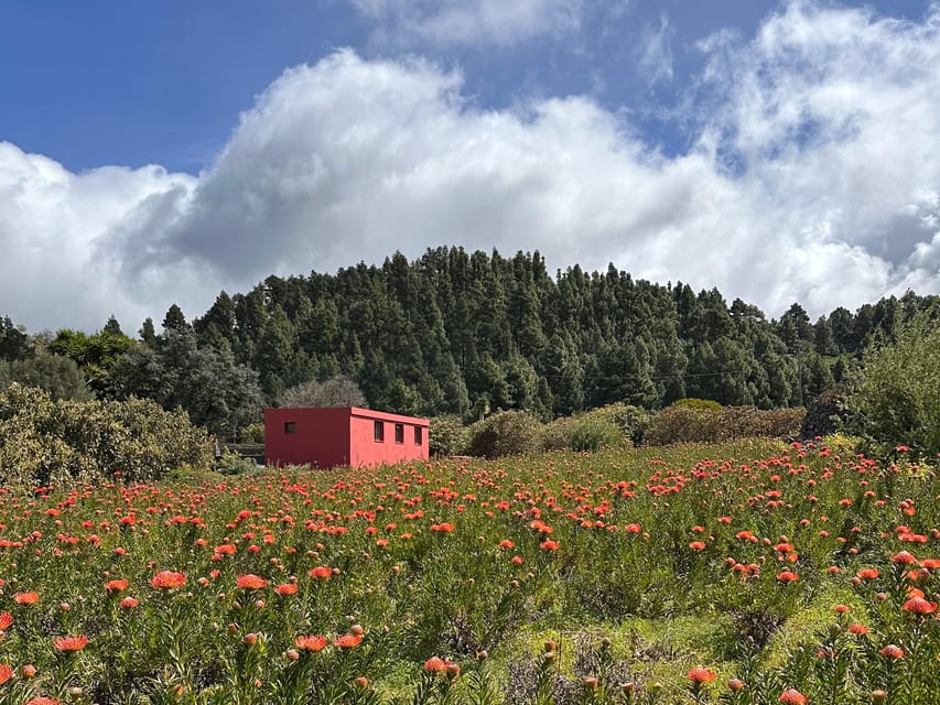 La Palma : Tour of an ecological farm w/ animals & tasting - The setting and the practical pace