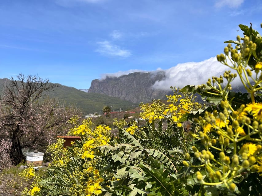 La Palma : Tour of an ecological farm w/ animals & tasting - Who will enjoy this two-hour tour