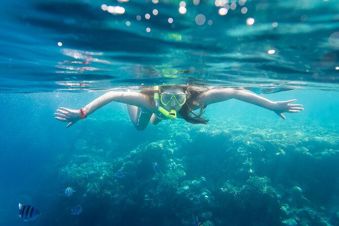 La Paz: Coral Farm Snorkel Tour - Why this La Paz snorkeling tour is different