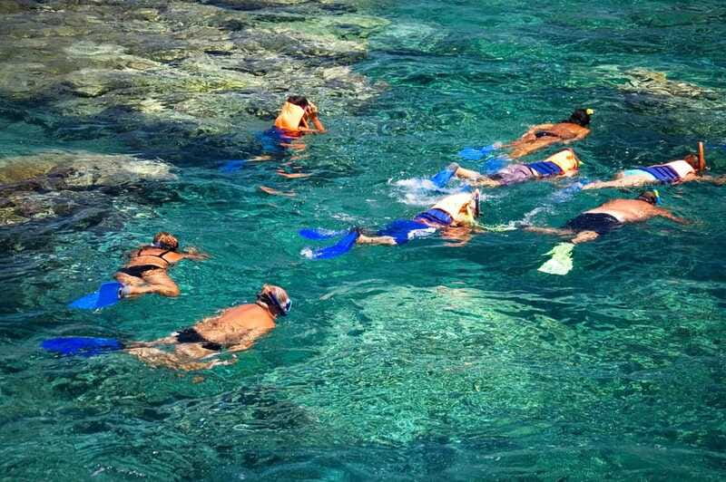 La Paz: Coral Farm Snorkel Tour - Practical details for a smoother outing