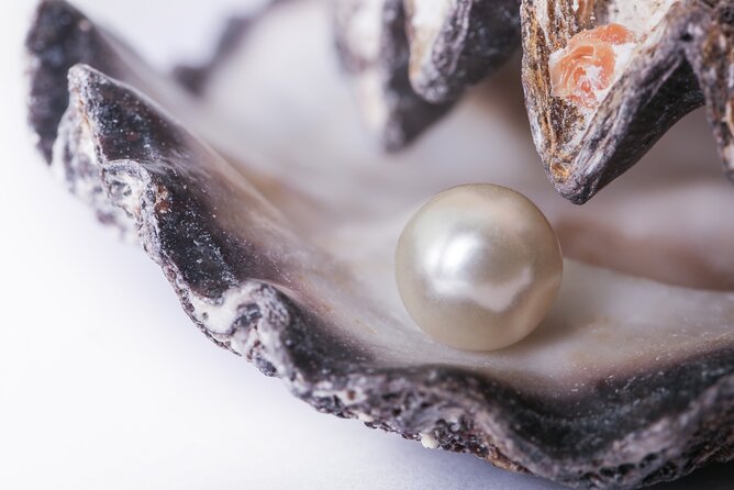 La Paz: Pearl Farm Experience and shop - Key points at a glance