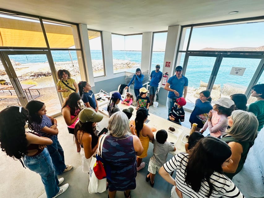 La Paz: Pearl Farm Experience and shop - Booking flexibility and practical planning