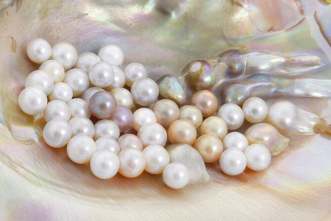 La Paz: Pearl Farm Experience and shop - What the La Paz pearl story adds to the visit