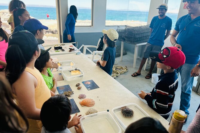 La Paz: Pearl Farm Experience and shop - Is the $70.02 price fair?