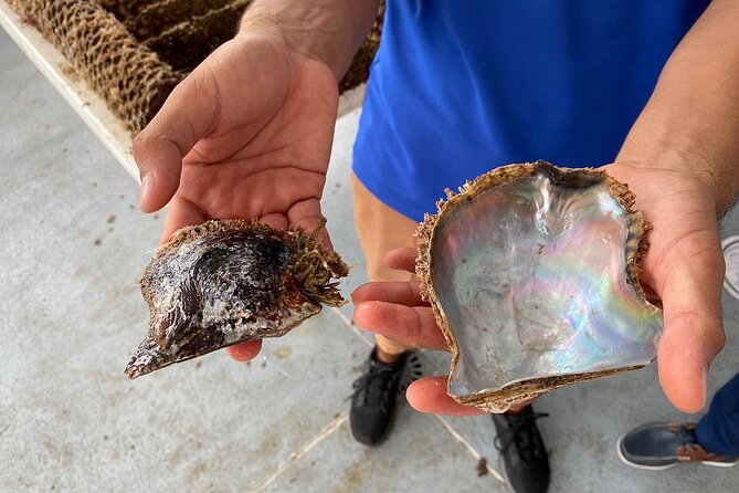 La Paz: Pearl Farm Experience and shop - Location, timing, and practical planning