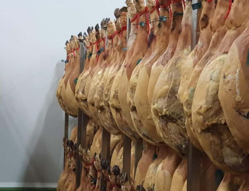 La Rioja: Jamon Iberico Farm Tour and Tasting with Wine - Key points to know before booking