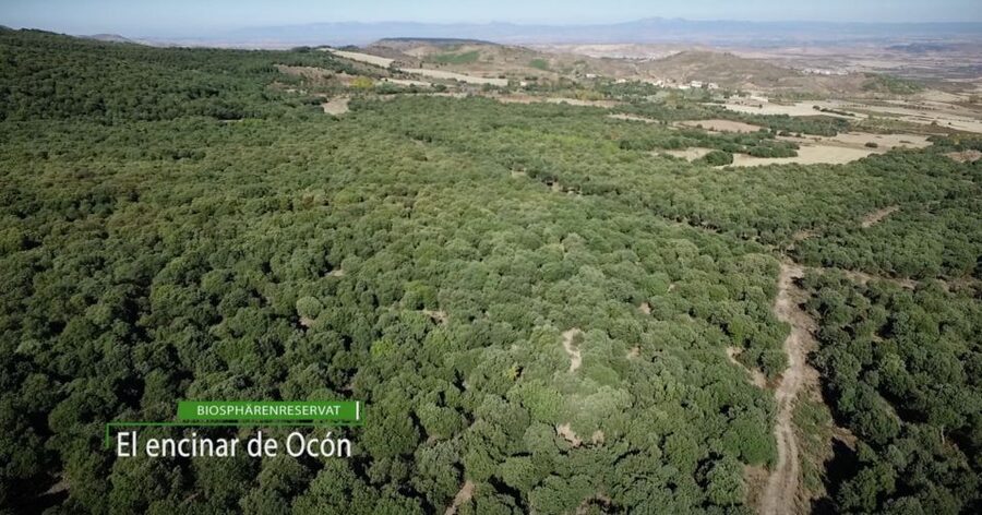 La Rioja: Jamon Iberico Farm Tour and Tasting with Wine - The feed mill, olive groves, and cereal fields