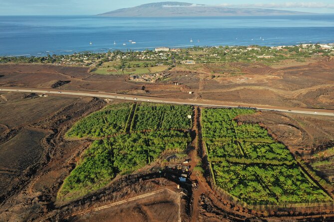 Lahaina: Maui Ku'ia Estate Guided Cacao Farm Tour and Tasting - Starting at Ku’ia Estate’s Lahaina factory