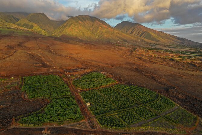 Lahaina: Maui Ku'ia Estate Guided Cacao Farm Tour and Tasting - How much value do you get for $99.48?