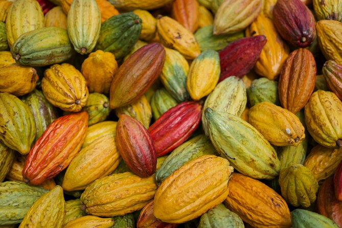 Lahaina: Maui Ku'ia Estate Guided Cacao Farm Tour and Tasting - Group size, timing, and comfort
