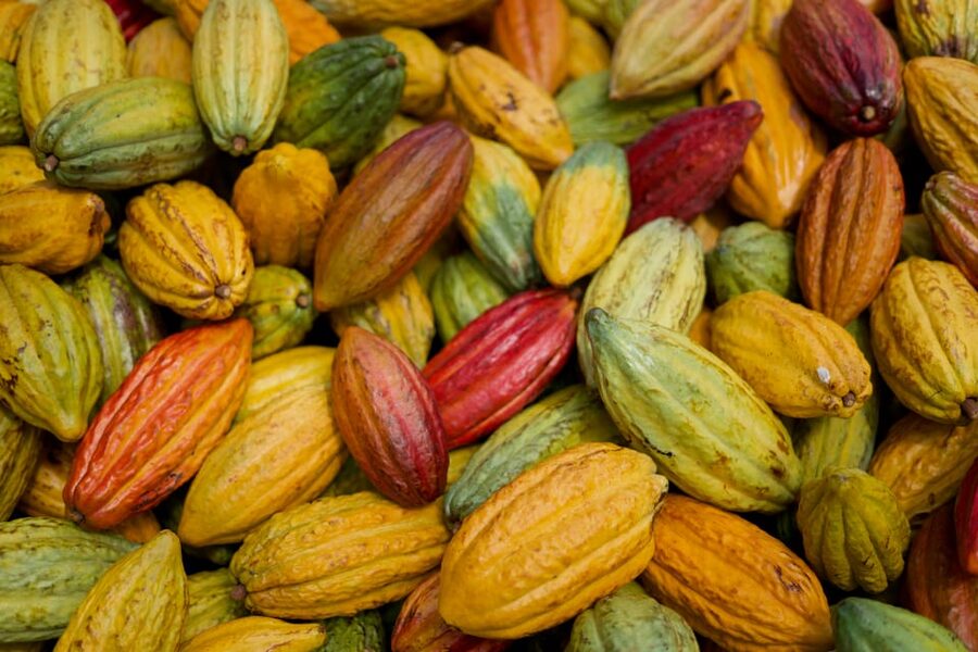 Lahaina: Maui Ku'ia Estate Guided Cacao Farm Tour & Tasting - The short ride to the private cacao estate