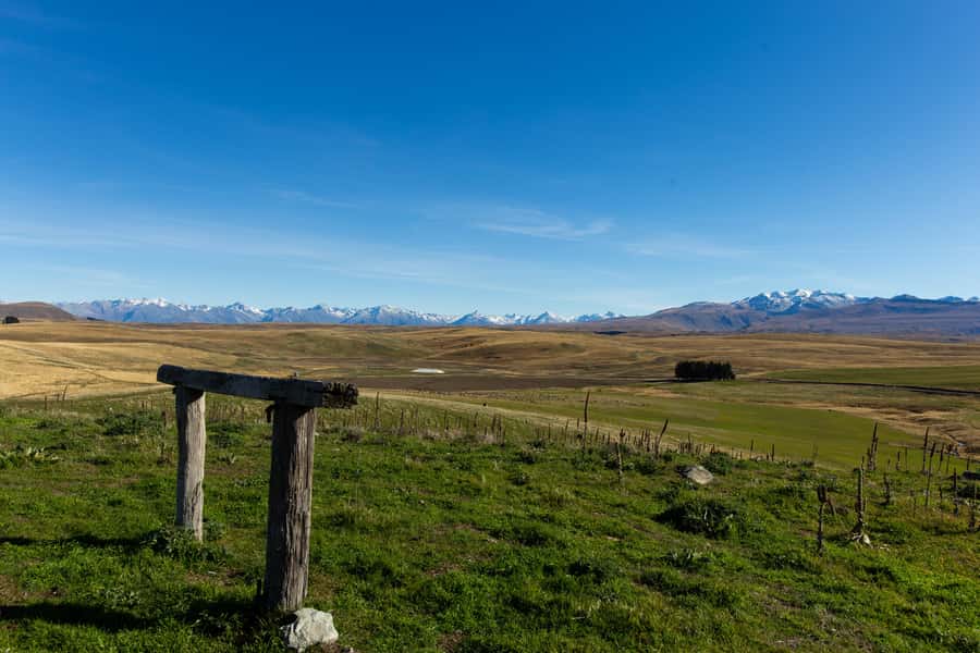 Lake Tekapo High Country Farm Tour (Carbon Positive) - Is $89 a fair price?