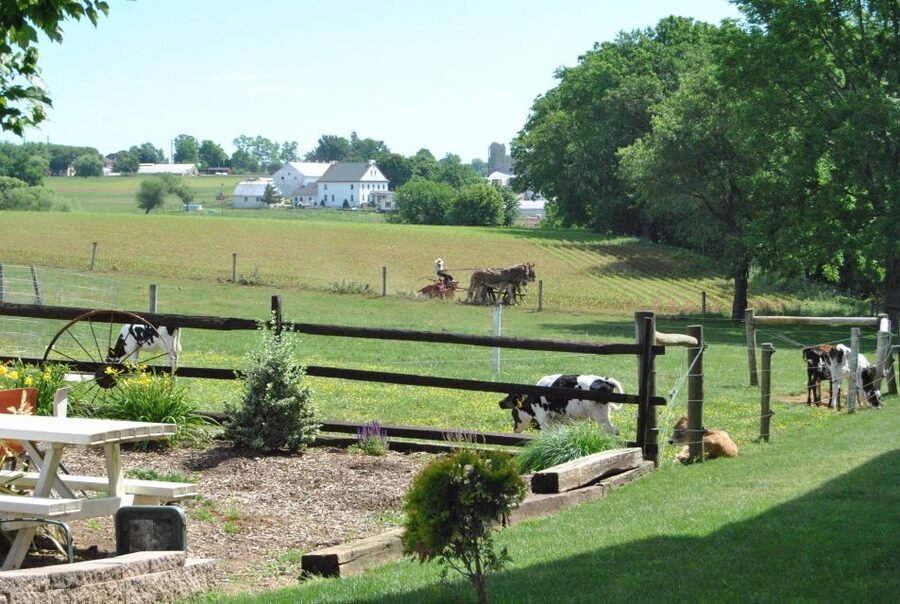Lancaster: Amish Experience Visit-in-Person Tour 3 Stops - Three Amish stops, each with a different purpose