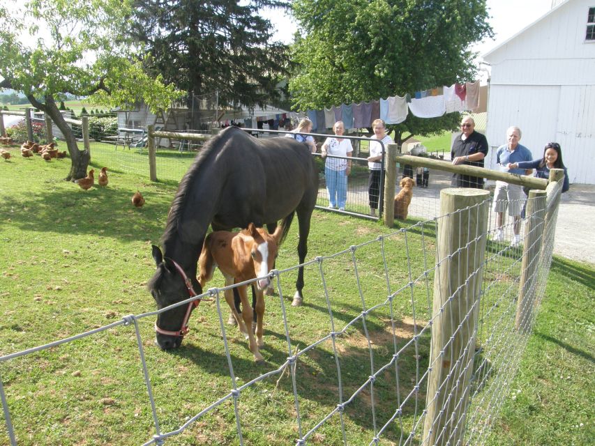 Lancaster: Amish Experience Visit-in-Person Tour 3 Stops - The craft stop: useful goods made by hand