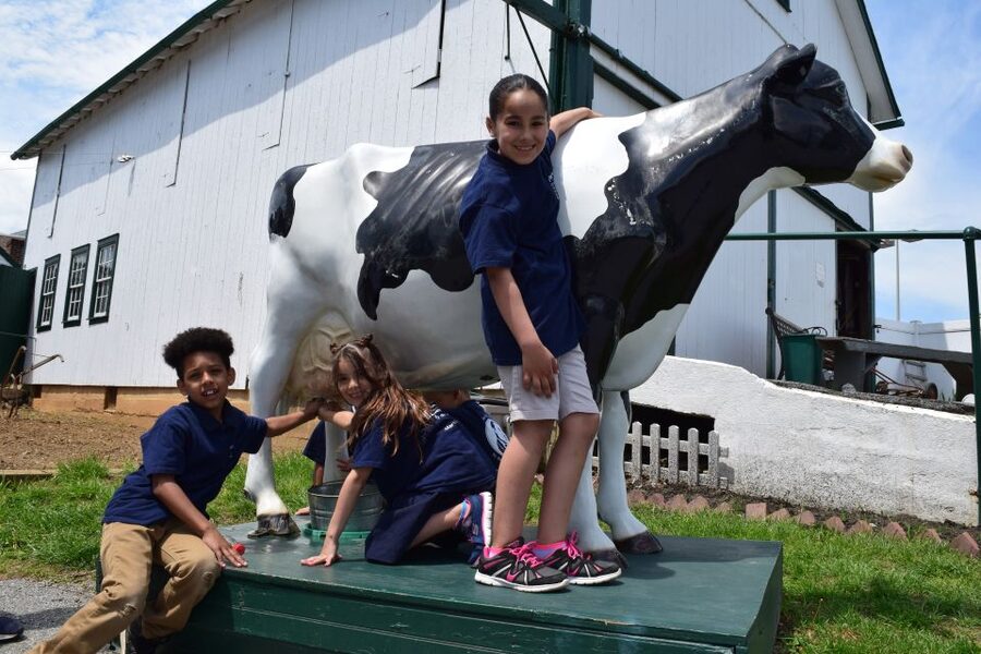 Lancaster County: Amish Farmlands, Museum Tour, Farm Visit - Start at the 1805 farmhouse on Lincoln Highway