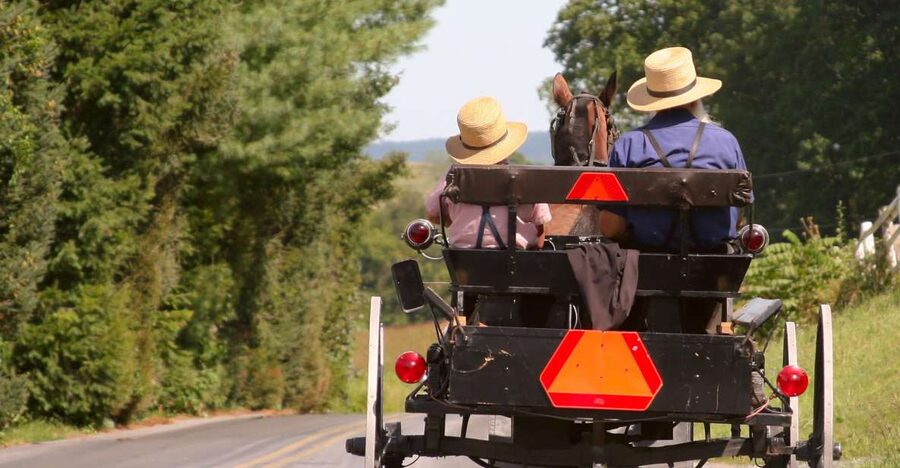 Lancaster County: Amish Farmlands, Museum Tour, Farm Visit - Farm stands, pretzels, and Pennsylvania Dutch flavors