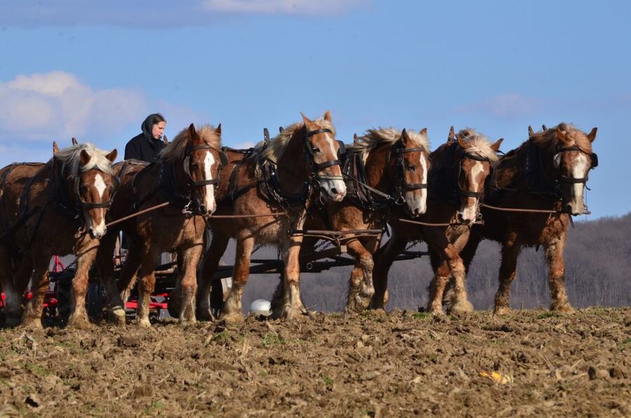 Lancaster County: Amish Farmlands, Museum Tour, Farm Visit - My take: a useful first look at Lancaster Amish country