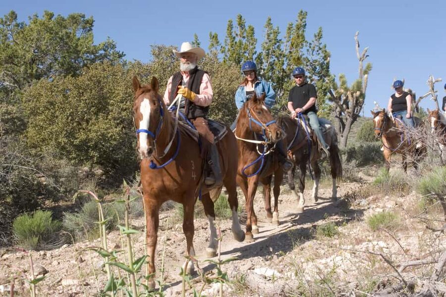 Las Vegas: Grand Canyon Helicopter & Ranch Adventure by Bus - Joshua trees and the Grand Wash Cliffs